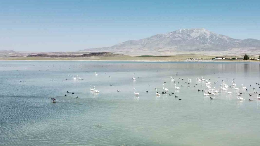 Bitlis'in doğa harikası: Arin Gölü tabloları aratmıyor 1